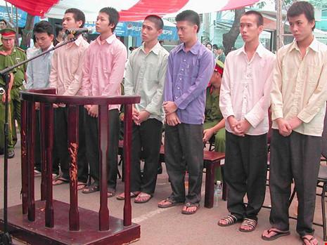 6 vanh mong ngua gxib